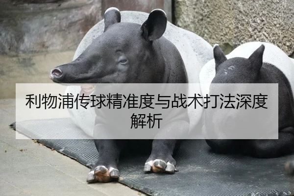 利物浦传球精准度与战术打法深度解析